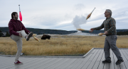 Yellowstone bison