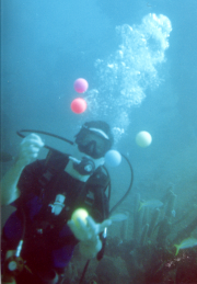 dive 5 balls